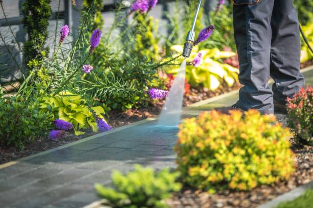 Best Fence Cleaning  in Limestone, IL