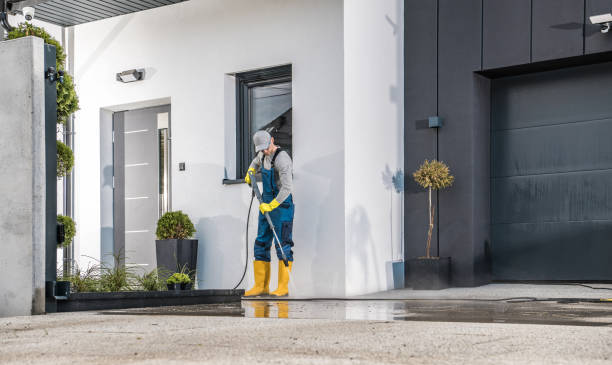 Best Driveway Pressure Washing  in Limestone, IL